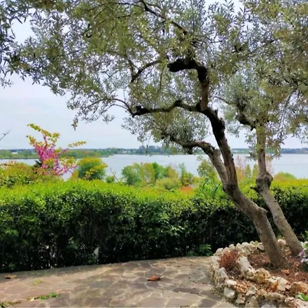 Sul lago dorato-2